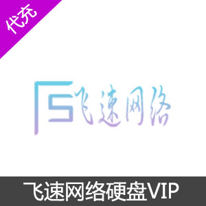 飞速网络硬盘VIP季付